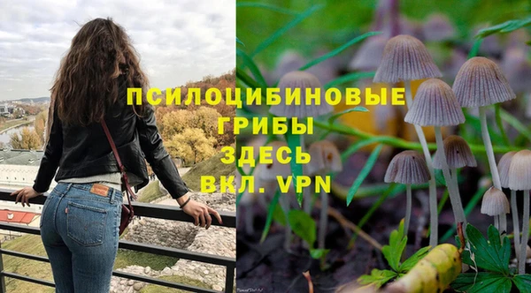 MDMA Premium VHQ Инта