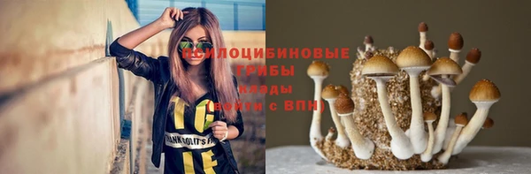 jwh Инсар