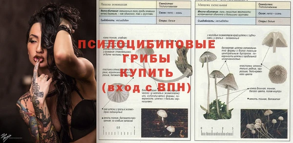 jwh Инсар