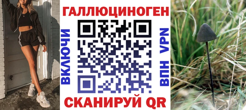 Купить закладки  Отрадная  Псилоцибиновые грибы Magic Shrooms 